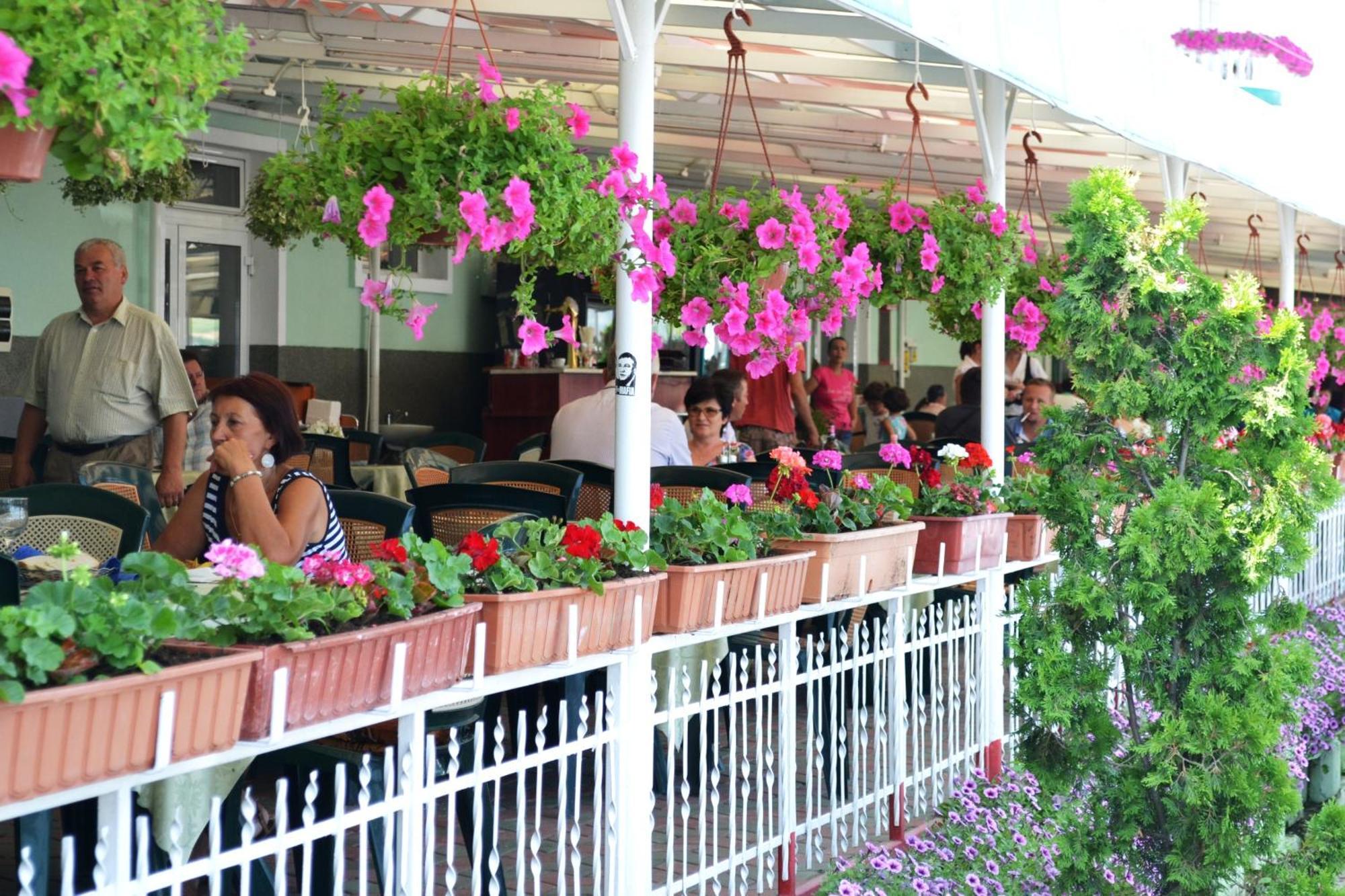 Motel Darina Ungheni  Εξωτερικό φωτογραφία