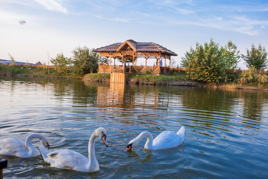 Motel Darina Ungheni  Εξωτερικό φωτογραφία